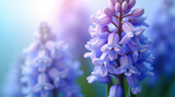 Nahaufnahme einer Hyazinthenblüte