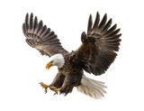 a majestic bald eagle mid-jump with its wings slightly open, heroic pose for American celebration poster on transparent background