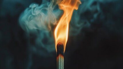Poster - Close-up of a lit matchstick with smoke against a dark background.
