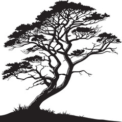  Cypress tree silhouette vector printable design