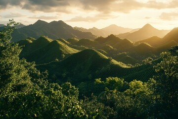 Wall Mural - A beautiful view of green mountains and sky in Thailand, during the golden hour, with trees and tea plantations. Photorealistic, high-resolution. 