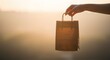 © Onisevens - Hand Holding a Brown Paper Shopping Bag at Sunset