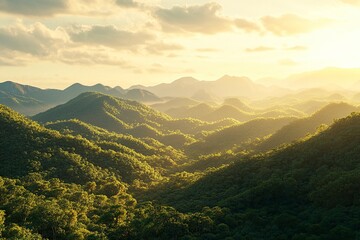Wall Mural - A beautiful view of green mountains and sky in Thailand, during the golden hour, with trees and tea plantations. Photorealistic, high-resolution. 