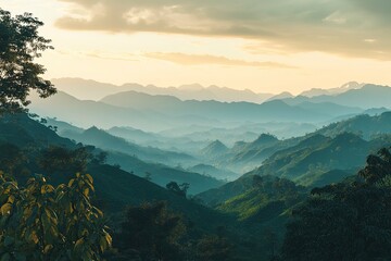 Wall Mural - A beautiful view of green mountains and sky in Thailand, during the golden hour, with trees and tea plantations. Photorealistic, high-resolution. 