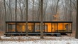 © aulia - Modern glass house nestled in a winter forest
