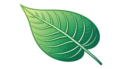 Aufkleber - vibrant green leaf icon with smooth outline and detailed veins, isolated on transparency background, symbolizing nature and freshness