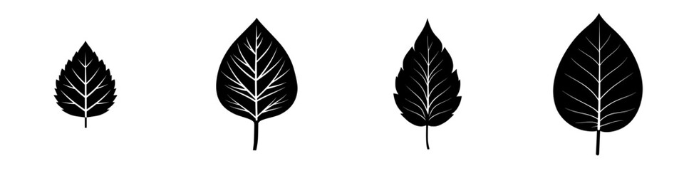 Poster - set of black leaf icons showcasing various shapes and sizes for digital design purposes