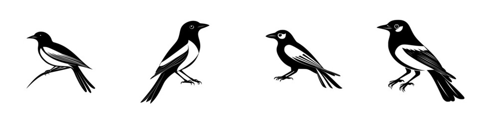 Poster - Stylized black icons of various birds in different poses showcasing simplicity and elegance