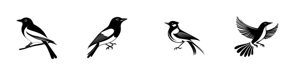 Poster - Black icon set featuring various bird silhouettes in different poses and designs