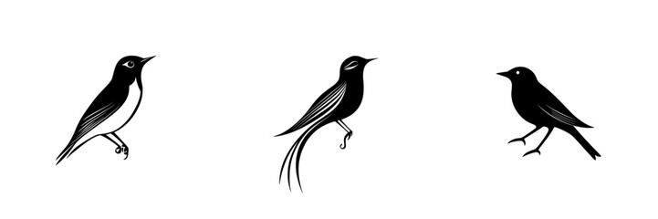 Poster - Stylized black bird icons showcasing different poses in a minimalist design for decorative and artistic purposes