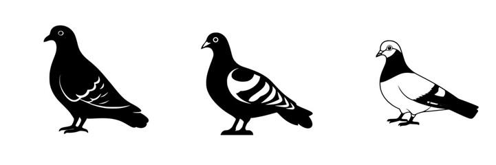 Poster - Various black icons of pigeons showcasing different styles and poses ideal for design projects and visual communication