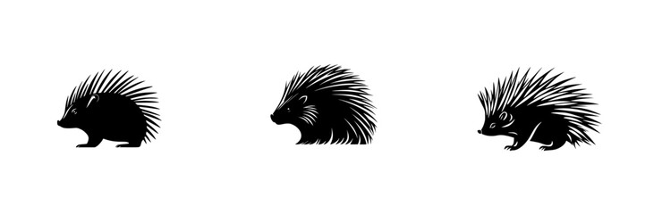 Poster - Stylized black icons of porcupines showcasing different postures and profiles