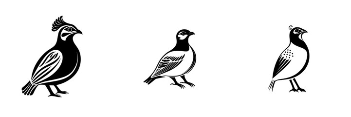 Poster - Set of black icons representing different bird species in a minimalist design for artistic and decorative purposes