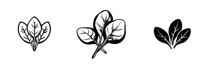 Poster - Black icon set featuring various styles of spinach leaves for graphic design and digital projects