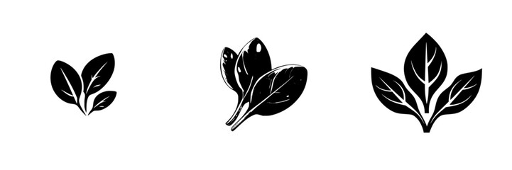 Poster - Black icon set of various leaf designs showcasing different shapes and sizes for use in nature-themed projects and illustrations