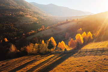 Fototapete - The sun's rays shine on the mountain valley, illuminating the yellow autumn trees. Carpathian mountains, Ukraine, Europe.
