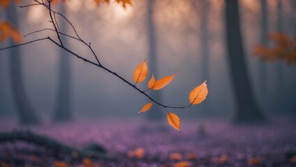 Poster - blurred image of autumn leaves in a forest background