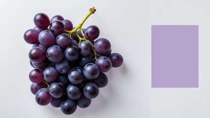 Poster - Black and white grapes with isolated background
