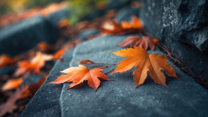 Poster - Autumn-colored leaves on textured stone surface