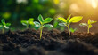 © Tahsina - A microscopic view of beneficial genetically modified bacteria enriching soil for sustainable farming