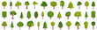 © top dog - Set of different cartoon trees. Garden and forest tree in a flat design