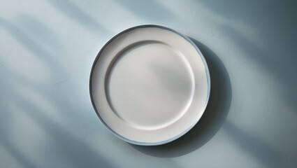Poster - Overhead flat lay of a white plate with a blue rim on a background, featuring copy space