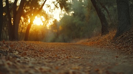 Aufkleber - A tranquil forest path appears inviting, as golden light diffuses through the trees and illuminates leaves in shades of red and gold during autumn