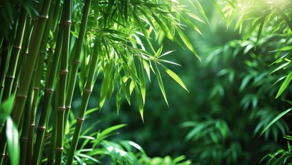 Wall Mural - colorful bamboo plant featuring rich green foliage
