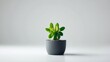 © Seyyar - Isolated cactus in a flowerpot with green and white background