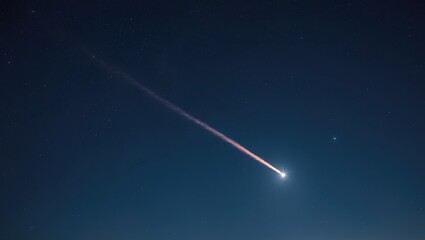 Wall Mural - A single shooting star streaking across a clear night sky