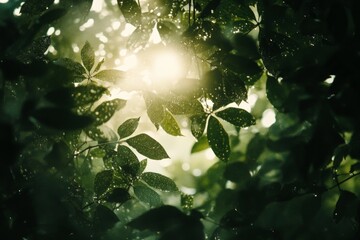 Aufkleber - Sunlight filtering through lush green leaves creates a serene atmosphere in a dense forest during early morning hours