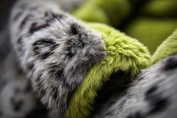 Aufkleber - Soft and cozy faux fur fabric in vibrant green and gray hues suitable for home decor and apparel
