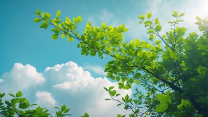Wall Mural - lush green tree branches with vibrant leaves beneath a bright blue sky and fluffy clouds.