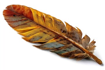 Poster - Beautifully detailed multicolored feather showcasing vibrant hues and intricate patterns found in nature