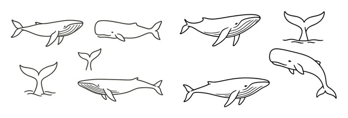 Poster - Collection of line style web icons depicting various whale designs and tails for digital or print use
