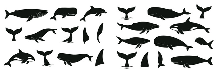 Leinwandbilder - Set of web icons showcasing marine animals in line style including dolphins, whales, and tails for use in digital projects