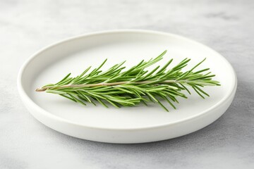 Poster - Fresh rosemary sprig on a white plate ready for culinary use in cooking and garnishing dishes