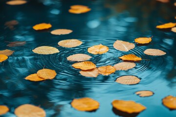 Poster - calm pond reflecting orange leaves in clear water surrounded by ripples during a serene autumn after