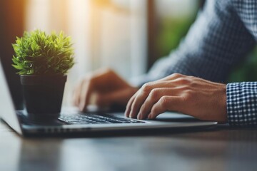 Fototapete - Focused individual working on a laptop at a wooden desk with a small potted plant in a bright workspace