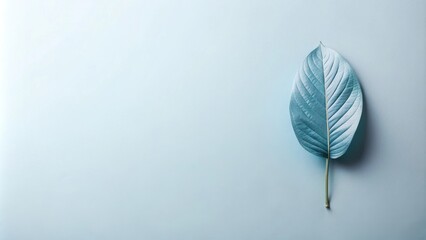 Poster - Single teal leaf on pale blue background, minimalist nature design