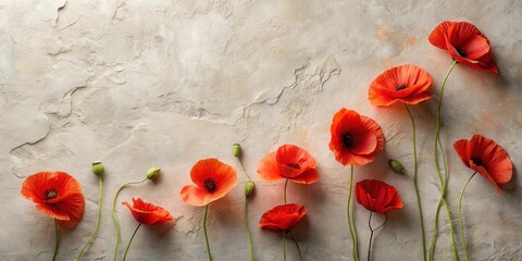 Poster - Vibrant Red Poppies Arranged on a Textured Surface