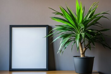Leinwandbilder - Empty frame and green plant create a calm and inviting interior space in natural light