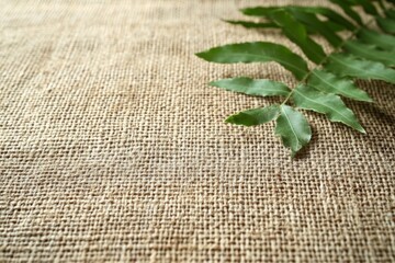 Poster - Natural green leaf rests on textured burlap fabric in a serene indoor setting with soft lighting