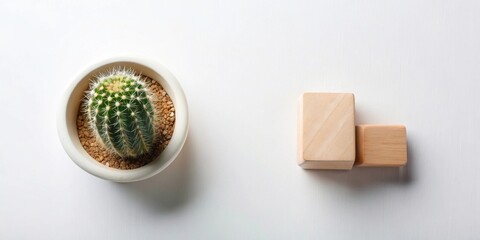 Aufkleber - Simple cactus and wooden blocks on white surface