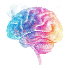 Poster - Colorful brain illustration showing complex neural connections and vibrant colors reflecting creativity and thought processes