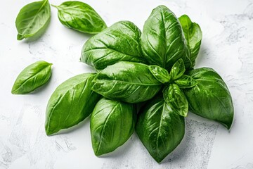 Poster - Fresh green basil leaves arranged on a light surface showcasing their vibrant color and texture in a kitchen setting