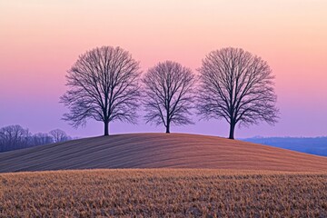 Aufkleber - Three trees stand on a hill as the sky transitions from day to night in a peaceful landscape