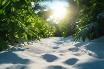 Aufkleber - Sunlight filters through tropical foliage on sandy pathway leading to the beach during a serene morning