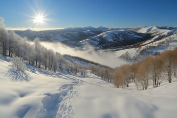 Poster - Snowy winter landscape with sunlight and mist over mountains in the background during early morning hours
