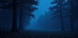 © Ningjing - Dark blue abstract background with gradient of black and mysterious forest at night, trees, woods